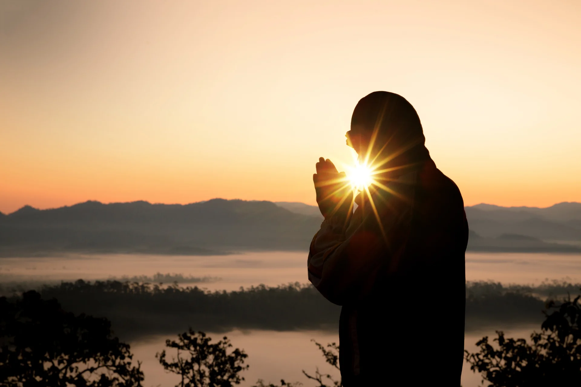 Quiero conocer la mente de Dios